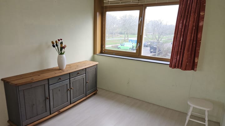 Foto 13 van Wollegras 11