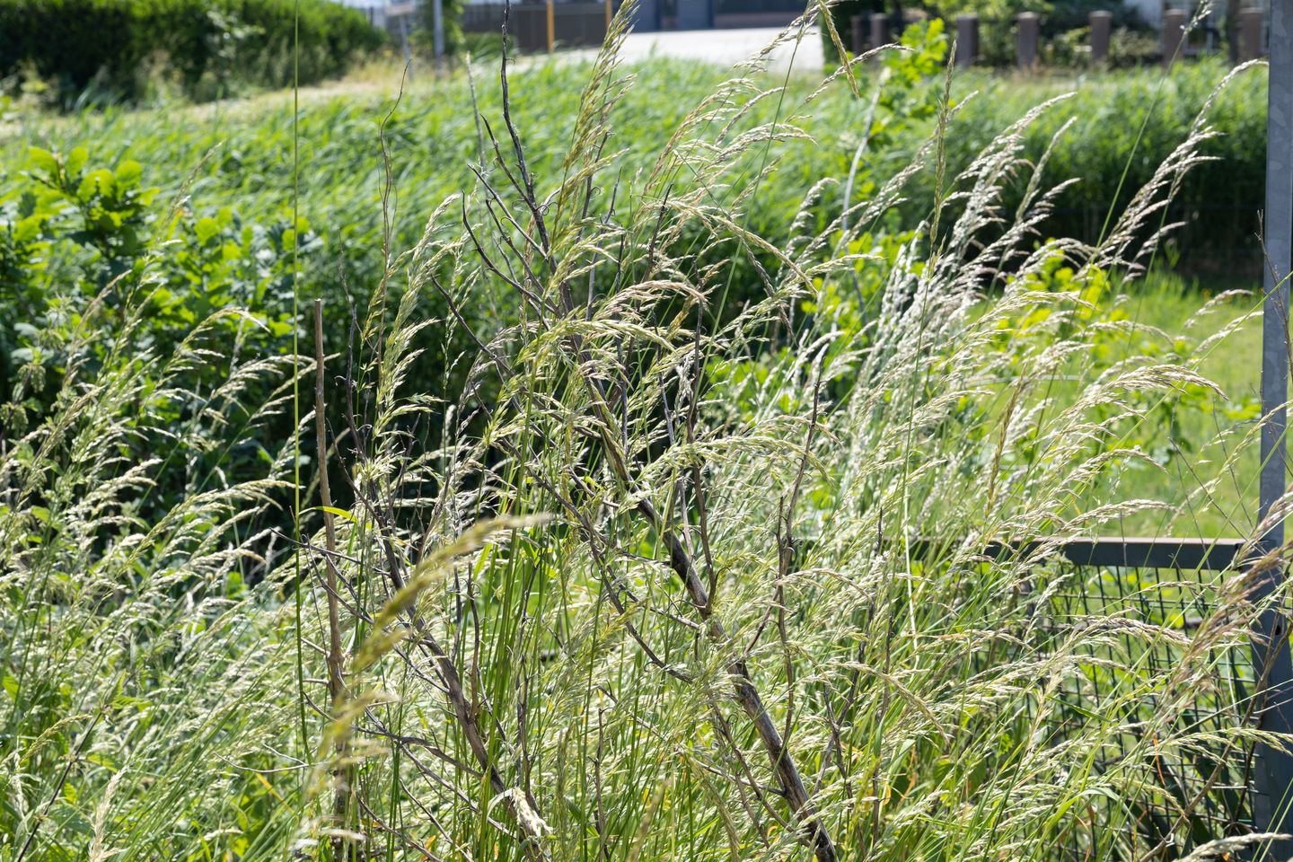 View photo 4 of de Woerd