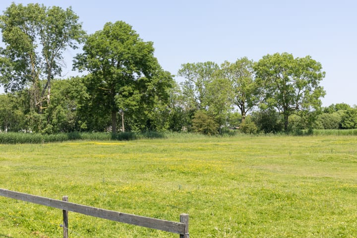 Foto 3 van de Woerd 4