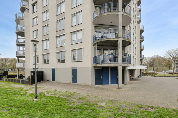 Foto 7 van Houtwolplantsoen 258