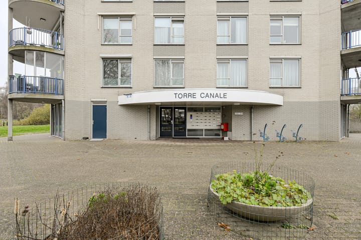 Foto 9 van Houtwolplantsoen 258