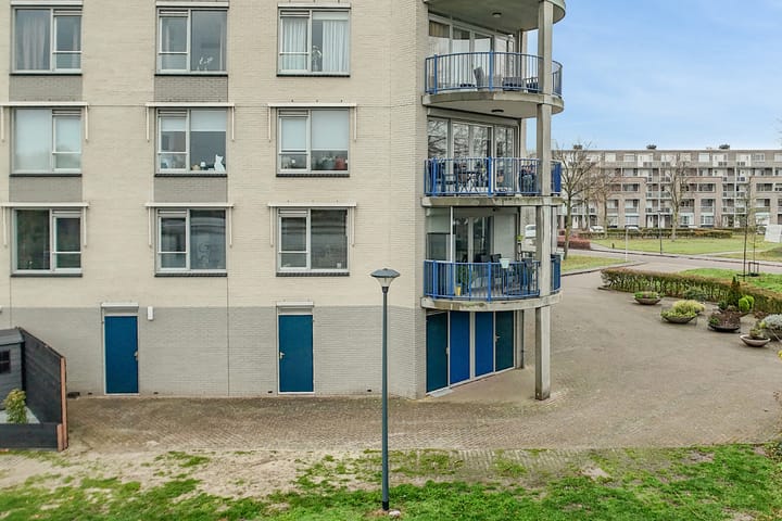 Foto 8 van Houtwolplantsoen 258