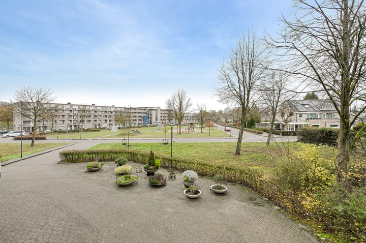 Foto 25 van Houtwolplantsoen 258