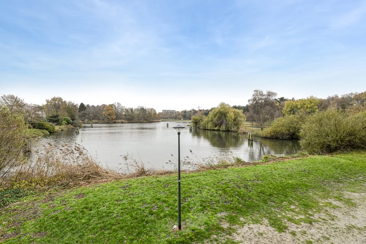 Foto 27 van Houtwolplantsoen 258