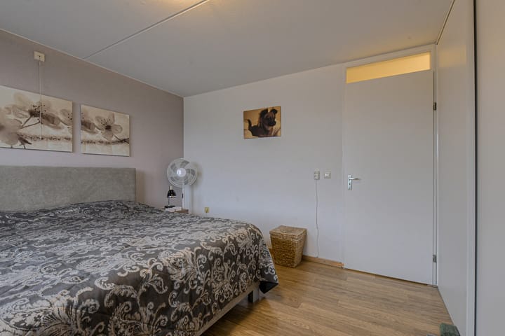 Foto 39 van Houtwolplantsoen 258