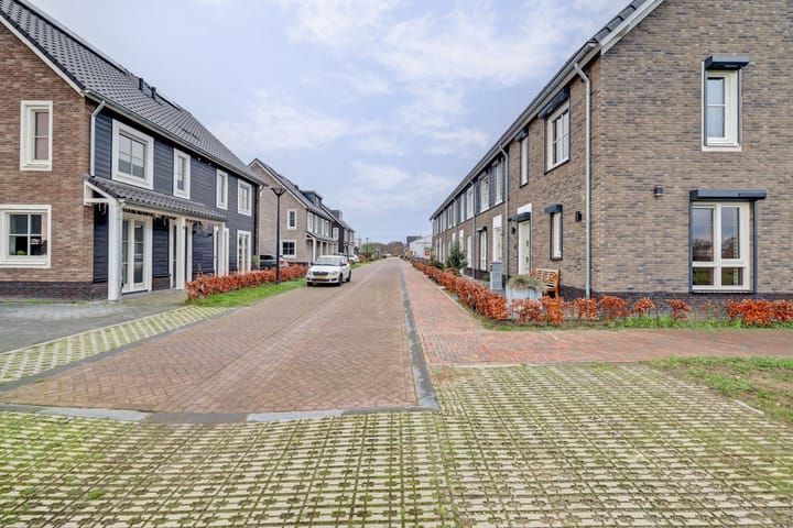 Foto 43 van Blauwbleuren 2