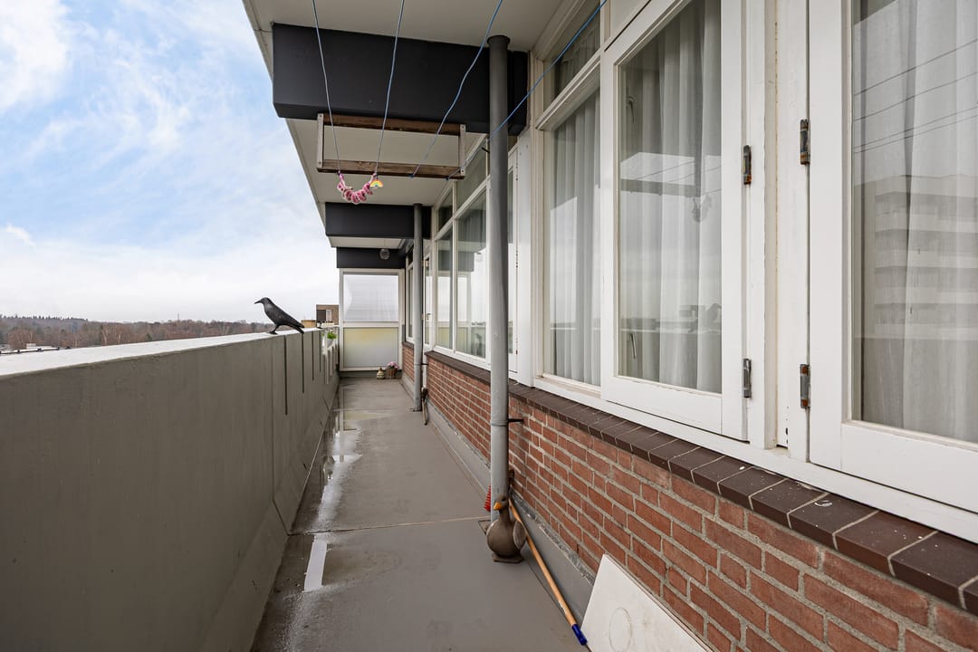 Foto 38 van Houtweg 238