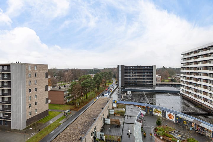 Foto 39 van Houtweg 238