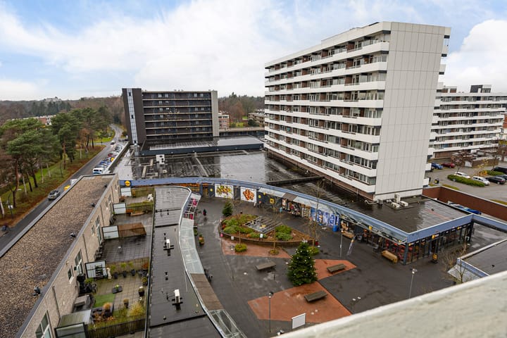 Foto 40 van Houtweg 238