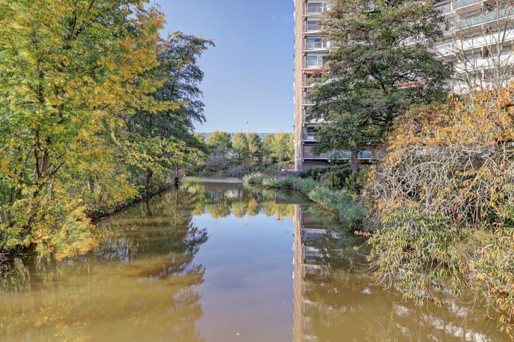 Foto 42 van Loenermark 96