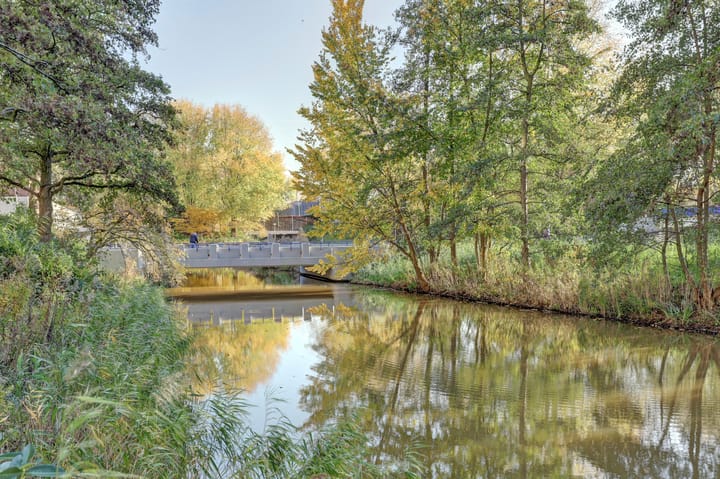 Foto 43 van Loenermark 96