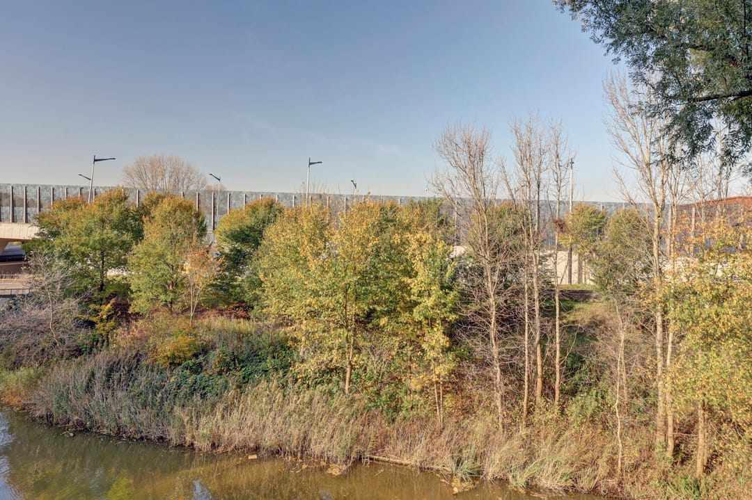 Foto 38 van Loenermark 96