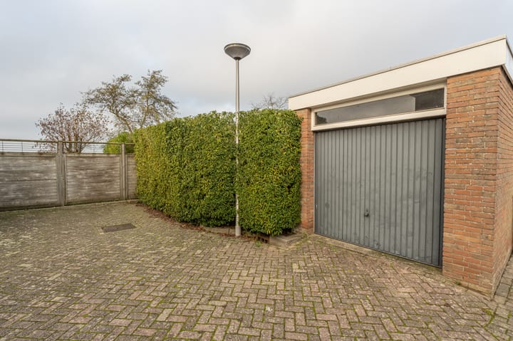 Photo 62 of Zeggegors 24