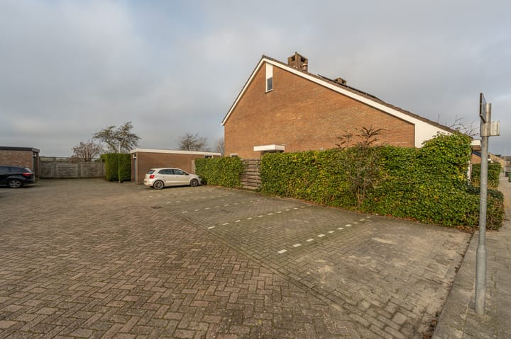 Photo 64 of Zeggegors 24