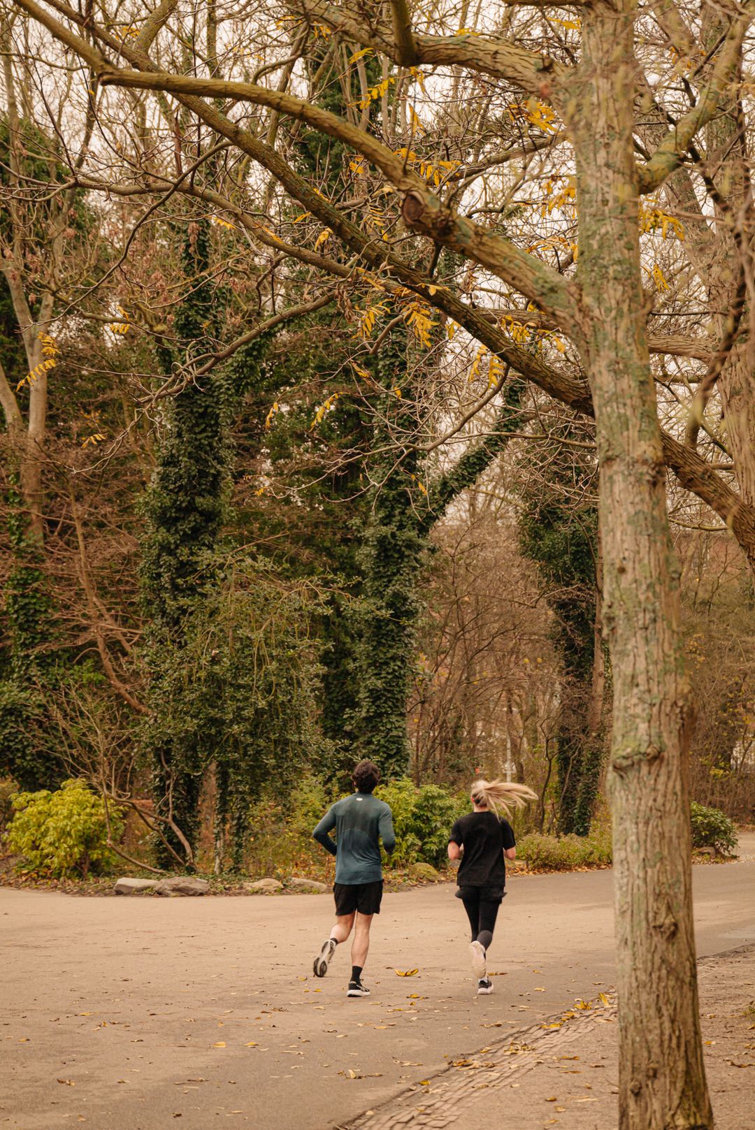 Photo 37 of Waldeck Pyrmontlaan 8-3