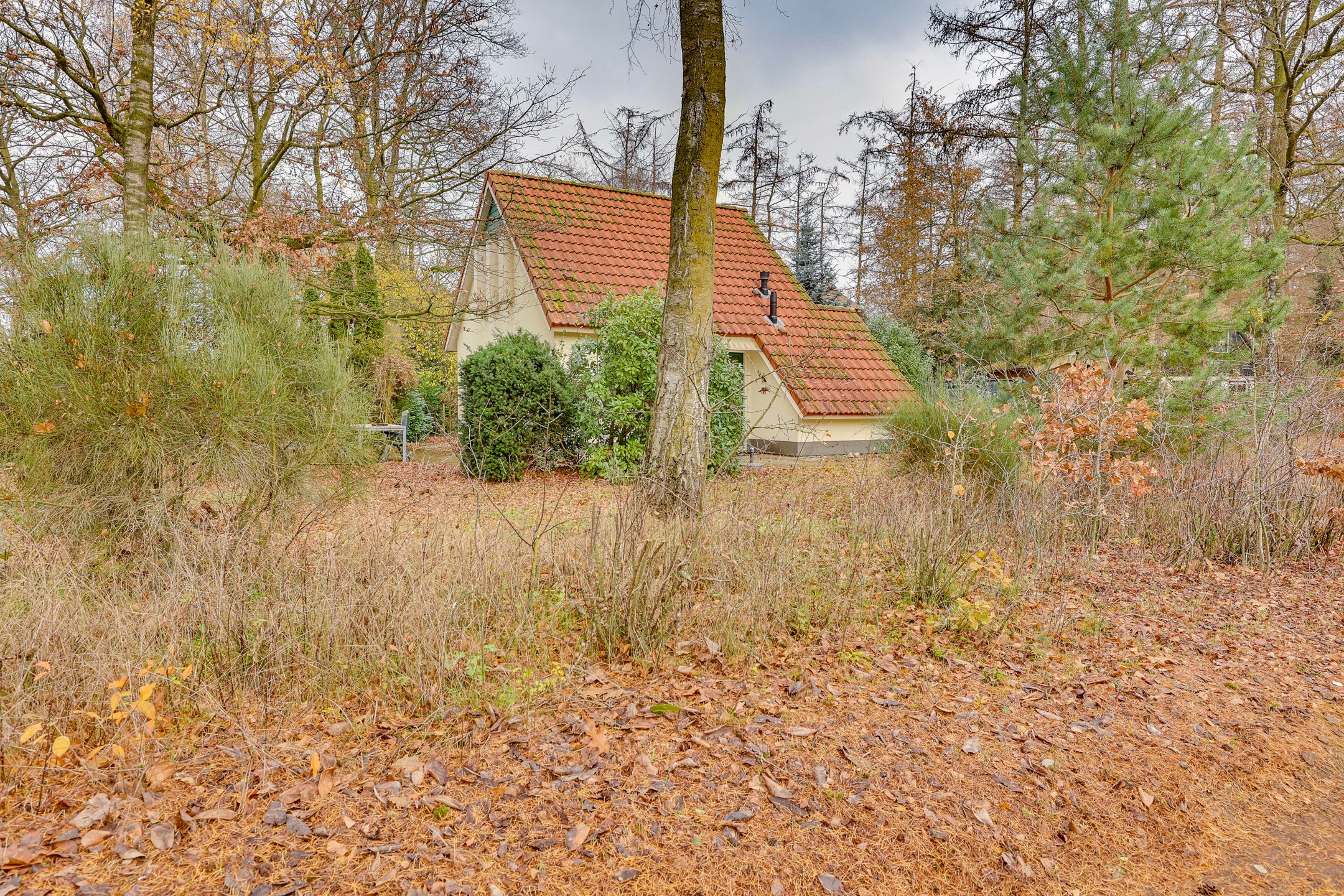 Photo 33 of Zonnenbergerdijk 2-068
