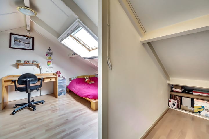 Foto 23 van Geelrijs 22