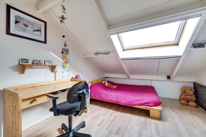 Foto 24 van Geelrijs 22