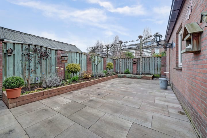 Foto 31 van Geelrijs 22