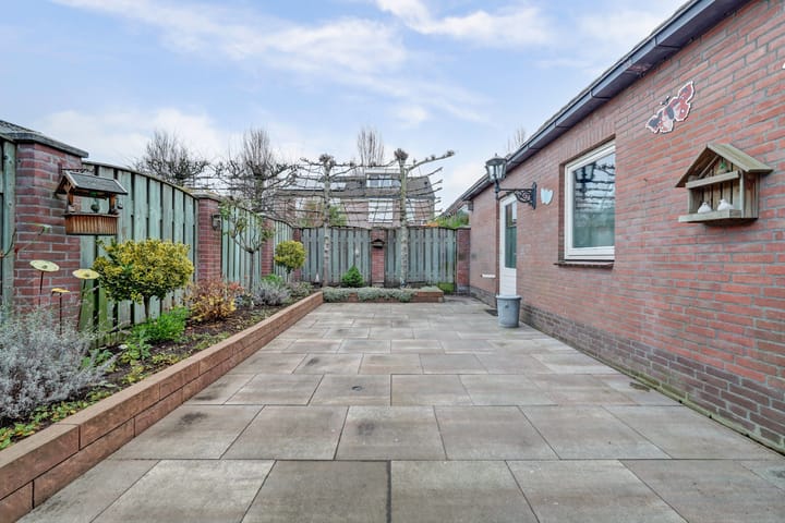 Foto 32 van Geelrijs 22