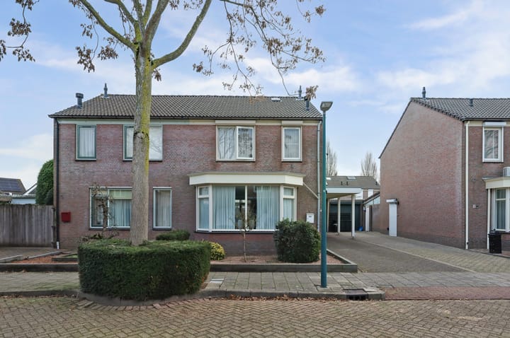 Foto 33 van Geelrijs 22