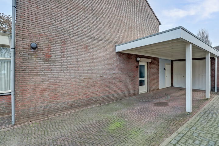 Foto 34 van Geelrijs 22