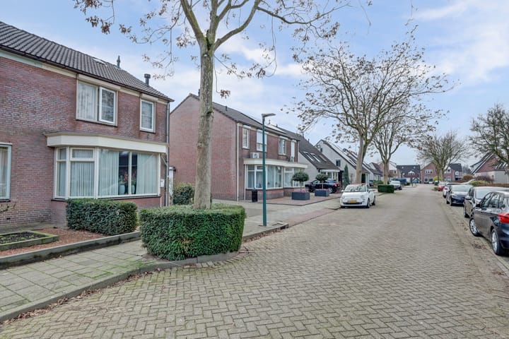 Foto 35 van Geelrijs 22