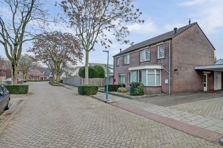 Foto 36 van Geelrijs 22