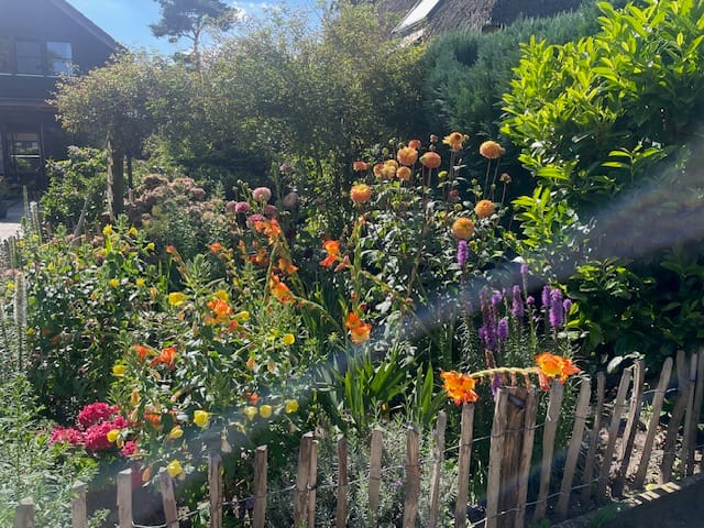 Foto 12 van Eerste Molenweg 31