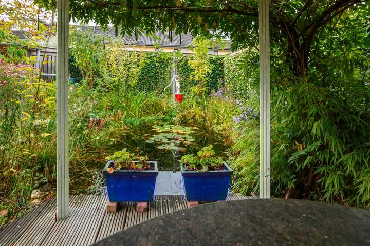 Foto 18 van Anijsveld 24