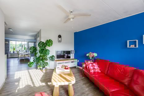 Anijsveld 24 tertiary image