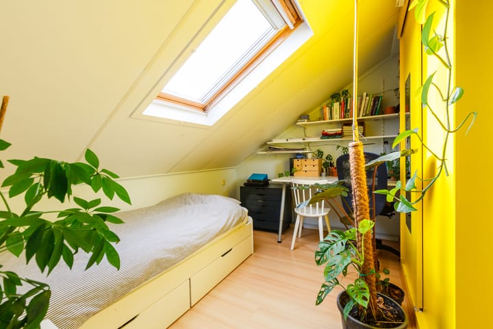 Foto 36 van Anijsveld 24