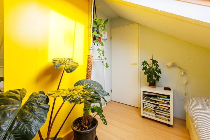 Foto 37 van Anijsveld 24