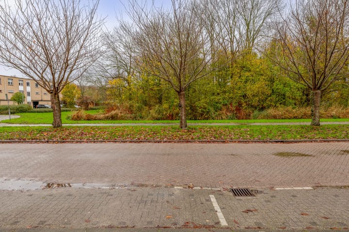 Foto 41 van Bommelerwaard 24