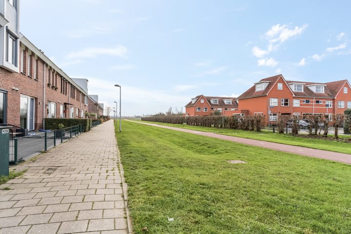 Photo 4 of Aardbeivlinder 104