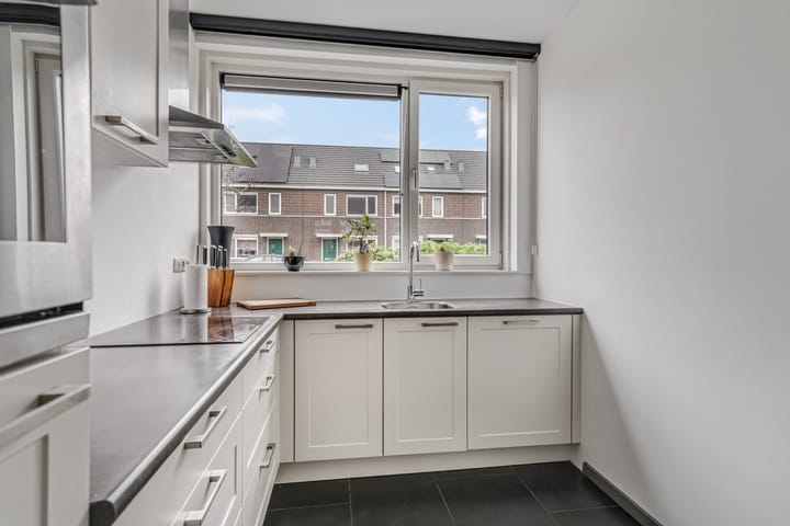 Photo 7 of Aardbeivlinder 104