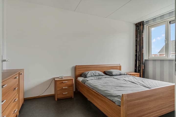 Photo 18 of Aardbeivlinder 104