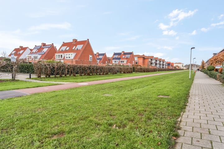 Photo 30 of Aardbeivlinder 104