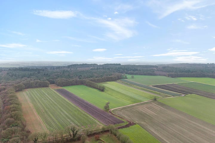 Foto 7 van Grotenweg 3