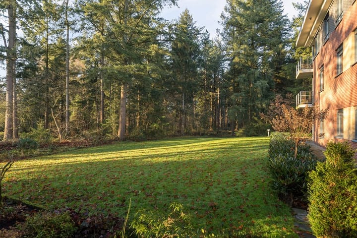 Photo 23 of Paviljoenplein 4