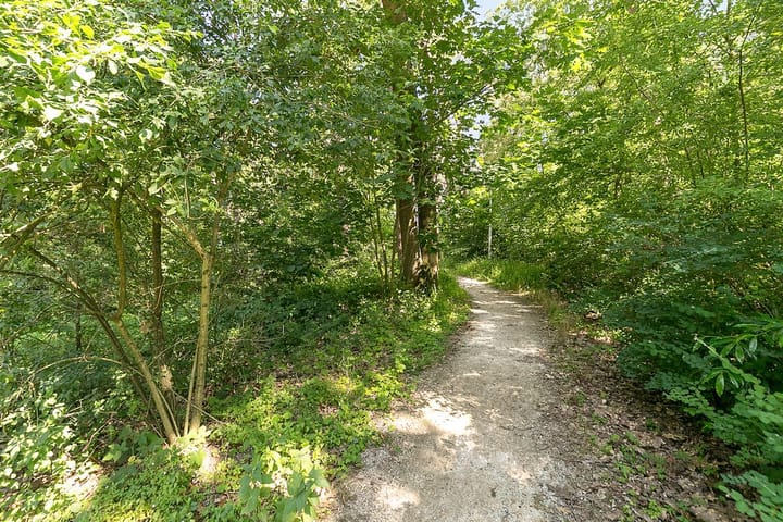 Photo 29 of Paviljoenplein 4