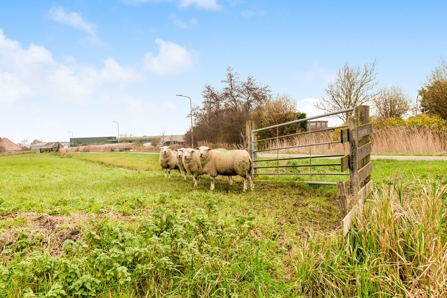 Foto 35 van Meidoornstraat 9