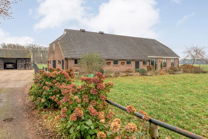 Foto 2 van De Kolonie 1