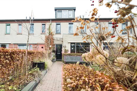 undefined main image