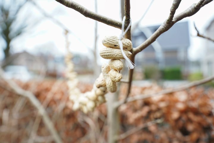 Foto 2 van Moslaan 21