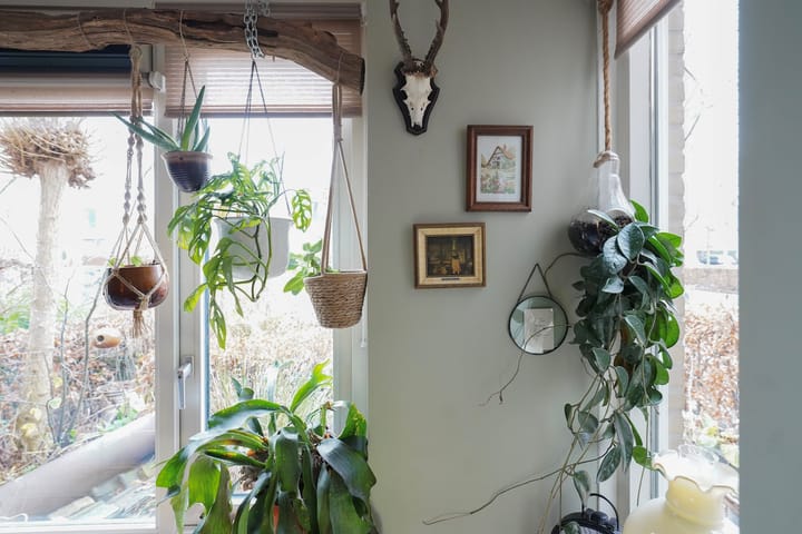 Foto 8 van Moslaan 21