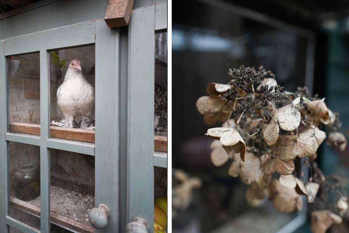 Foto 51 van Moslaan 21