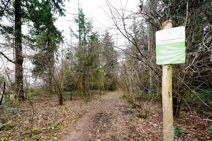 Foto 56 van Moslaan 21