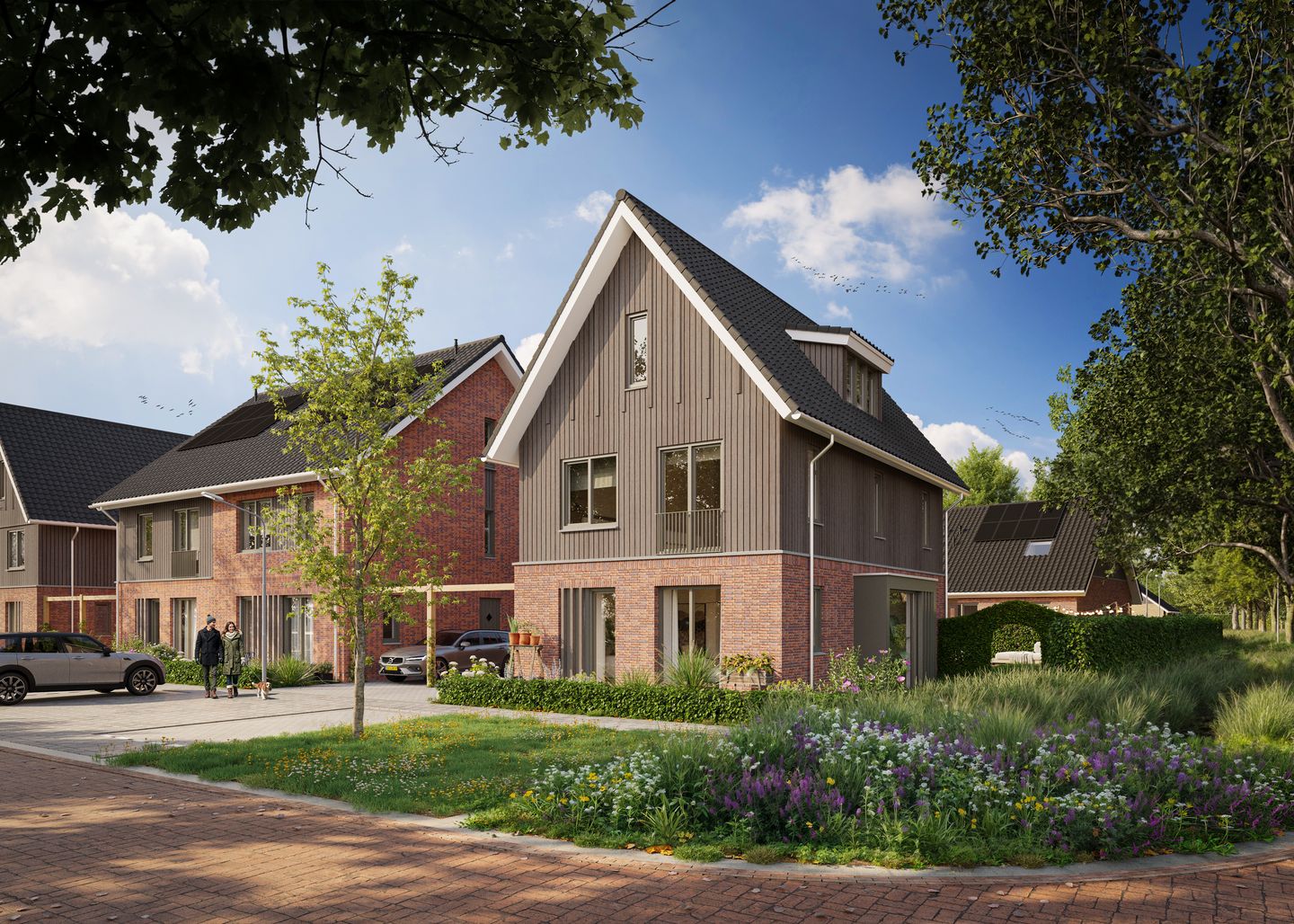 Foto 1 van MIERLO'S MOOISTE | Fase 2