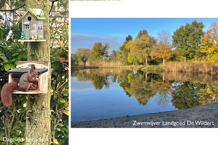 Photo 2 of Wildertstraat 33-44